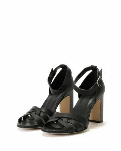 Dico sasha 75
