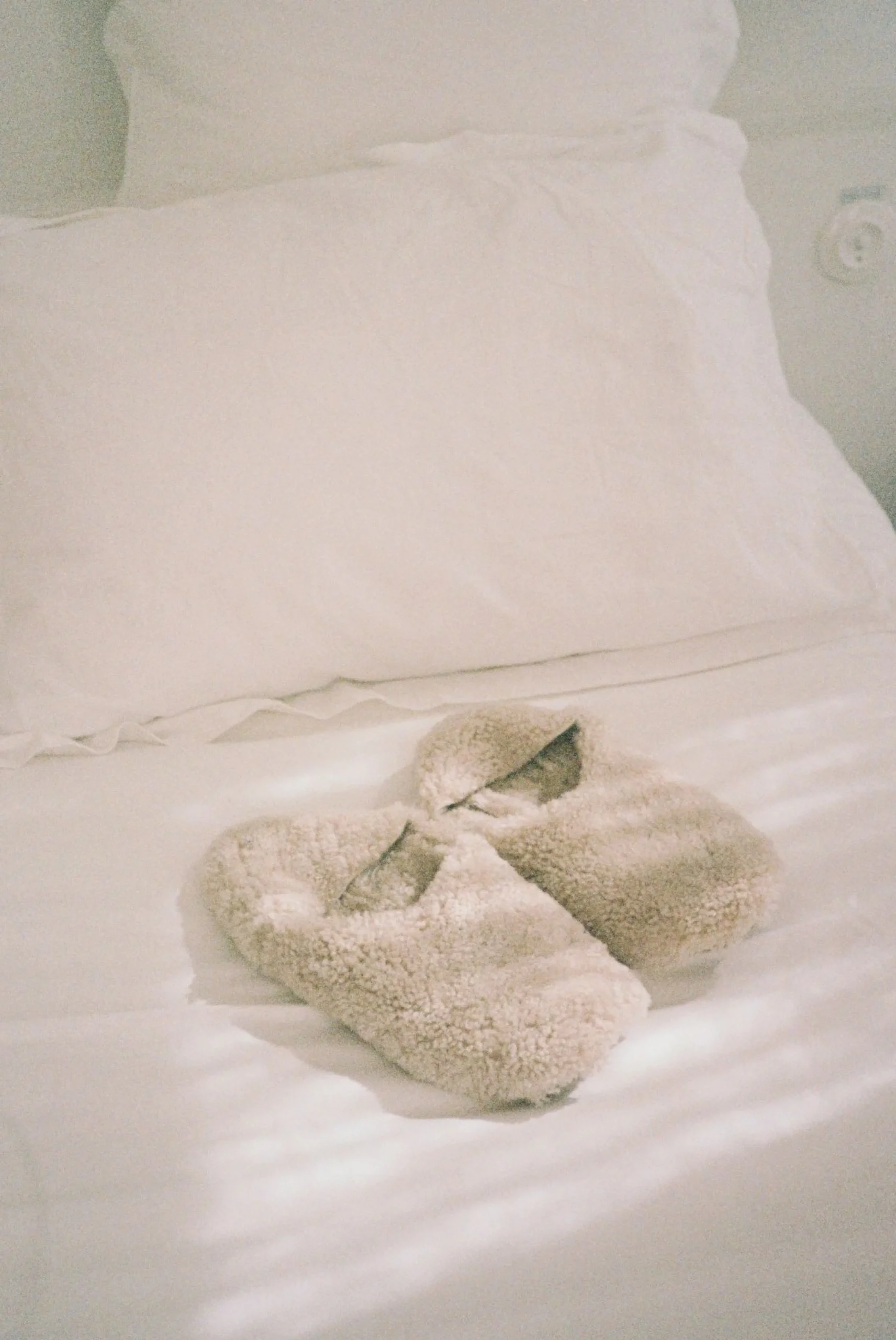 Lambiees shearling